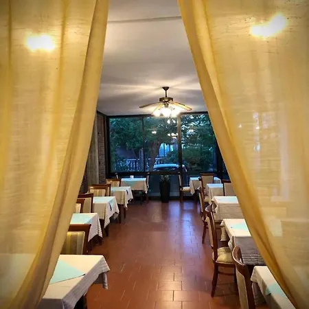 Room in BB - Hotel Villa Alexandra - Stay in complete relaxation San Mauro Mare