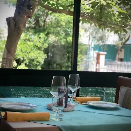 Room in BB - Hotel Villa Alexandra - Stay in complete relaxation